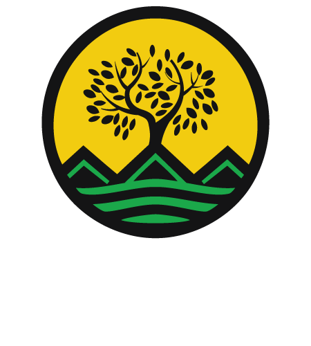 emaan landscaping services