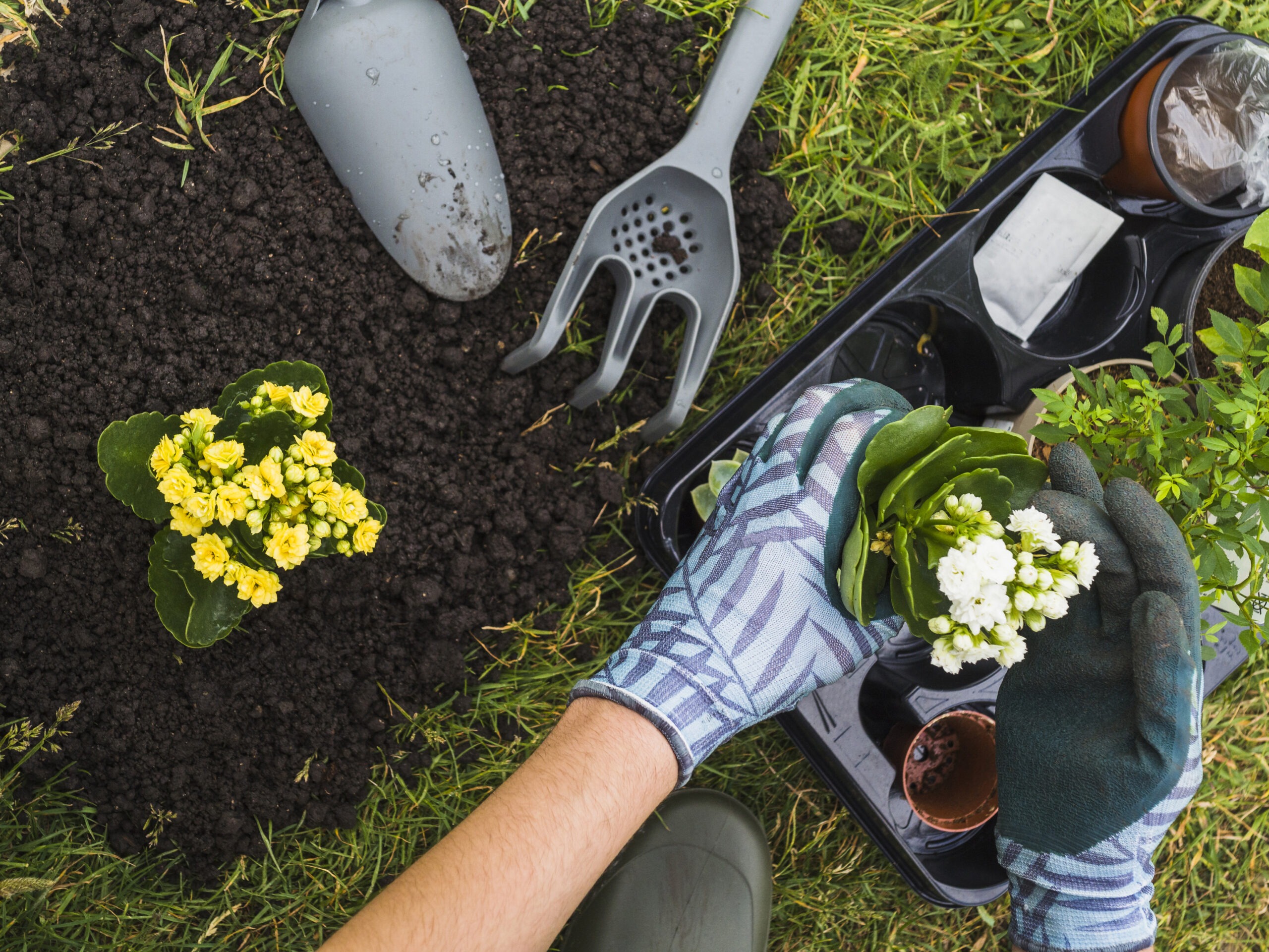 emaan landscaping services